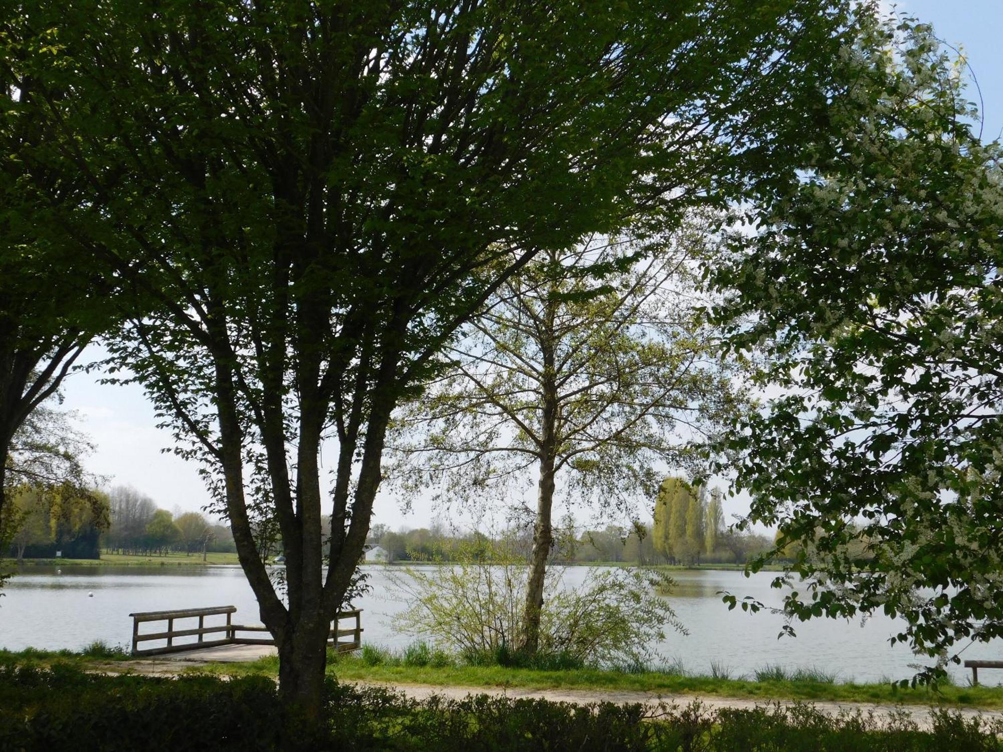 Village De Gites De La Chesnaie Saint-Denis-du-Maine Ruang foto
